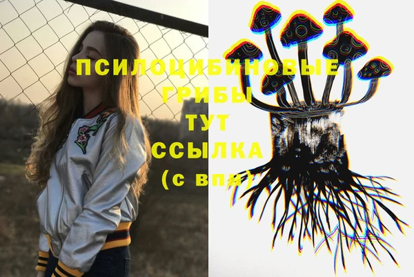 мдпв Богданович