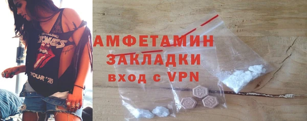прущие грибы Верхний Тагил