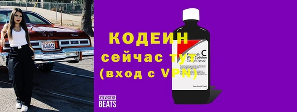 тгк Богородицк