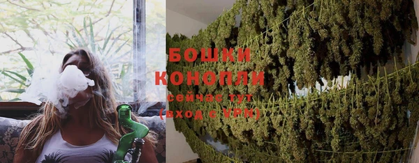 прущие грибы Верхний Тагил