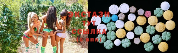 мдпв Богданович