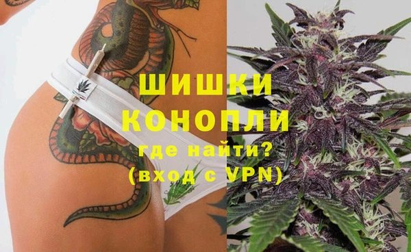 ПСИЛОЦИБИНОВЫЕ ГРИБЫ Белокуриха